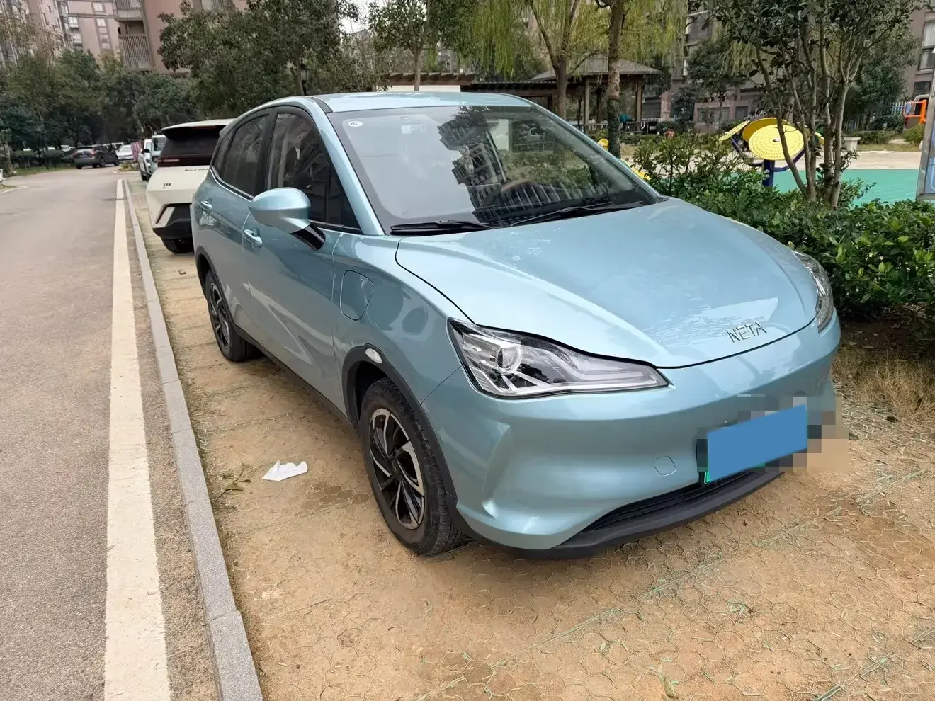 2021 NETA V thumbnail 3