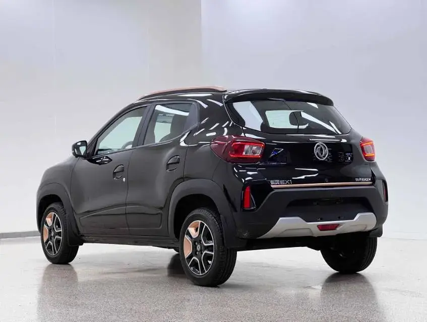 2023 DONGFENG NAMMI thumbnail 2