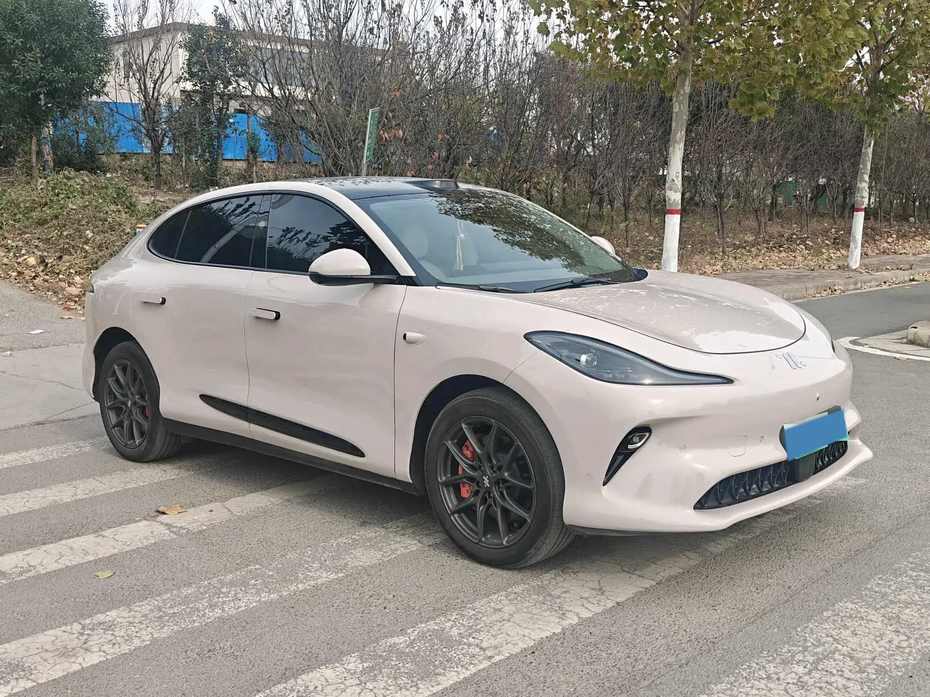 2025 IM LS6 thumbnail 3