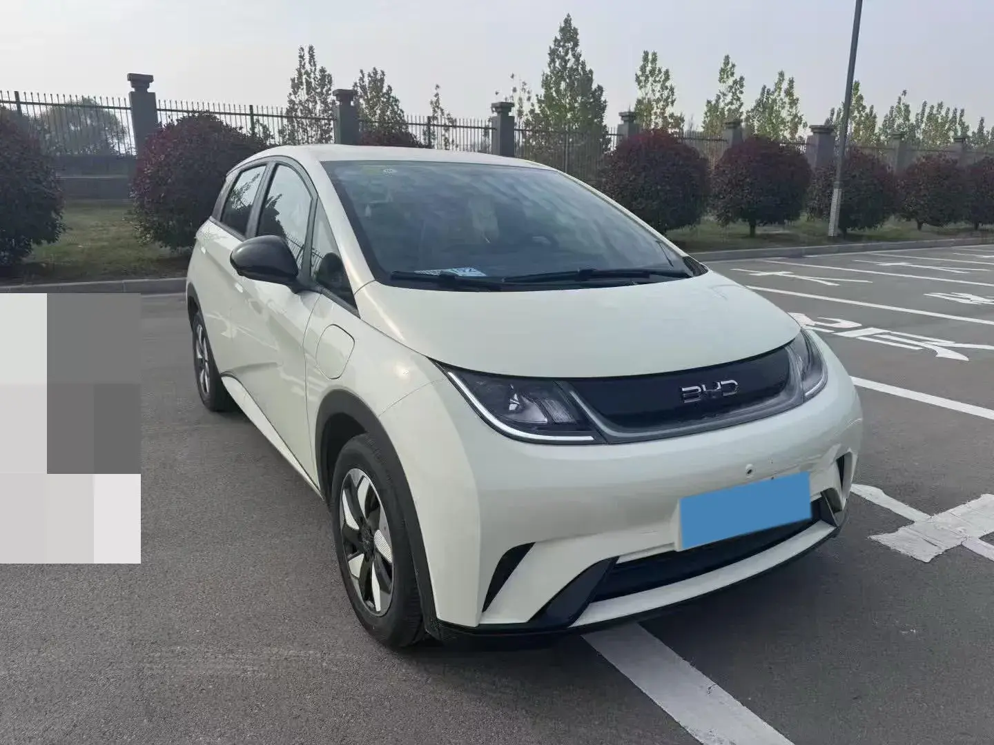 2025 BYD DOLPHIN thumbnail 2