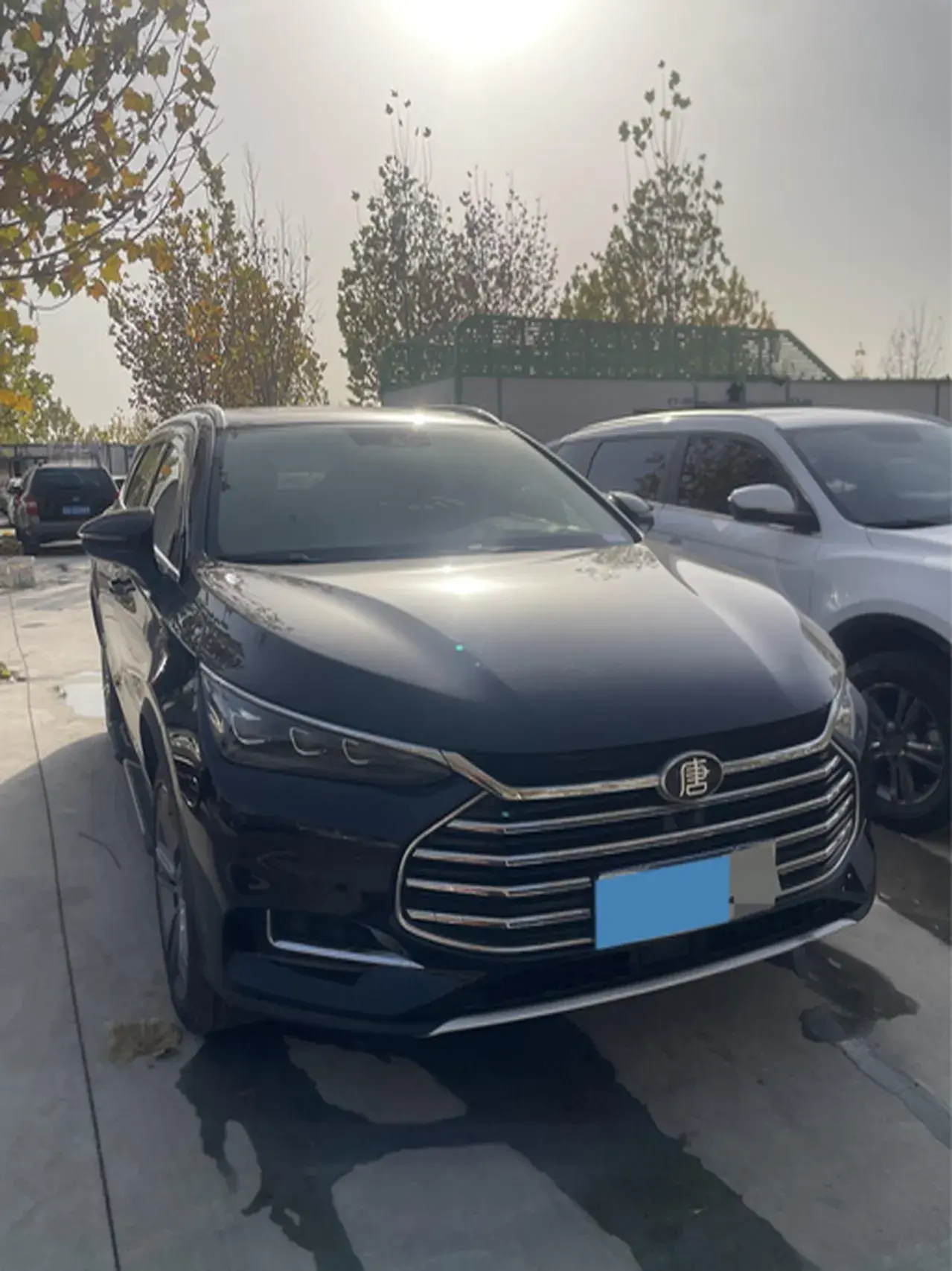 2021 BYD TANG thumbnail 2