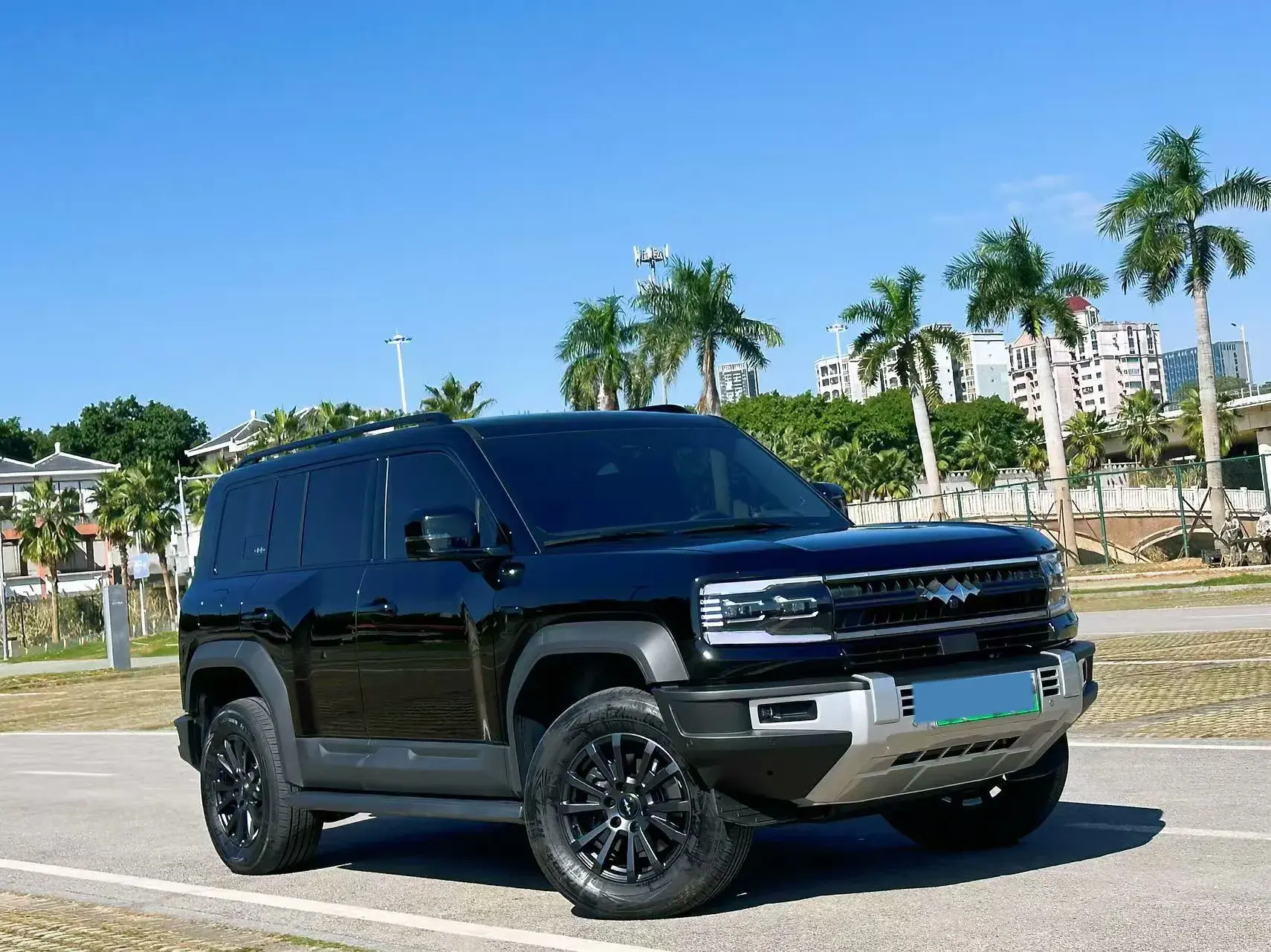 2023 FANGCHENGBAO BAO thumbnail 3