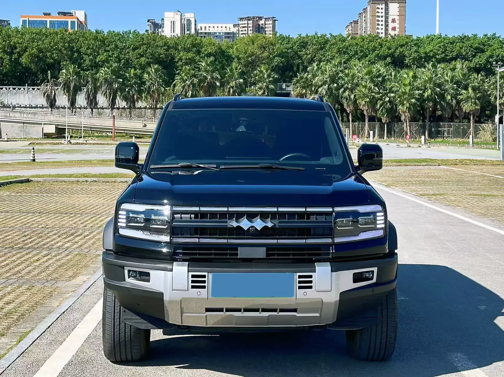 2023 FANGCHENGBAO BAO thumbnail 2