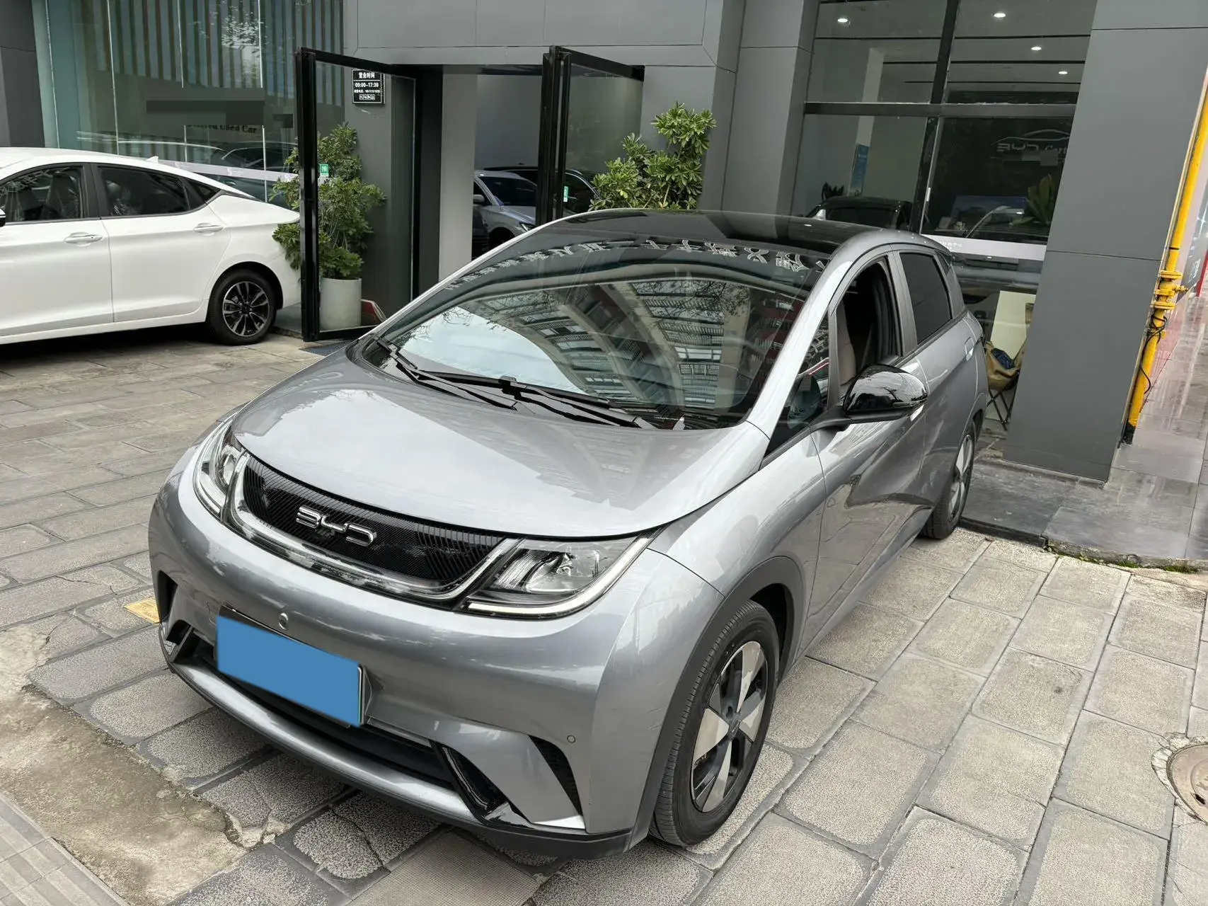 2023 BYD DOLPHIN view 1