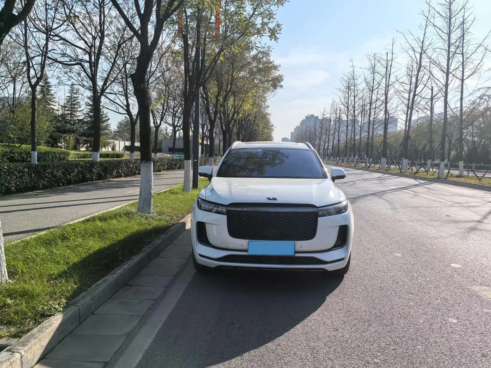 2021 LI ONE thumbnail 2