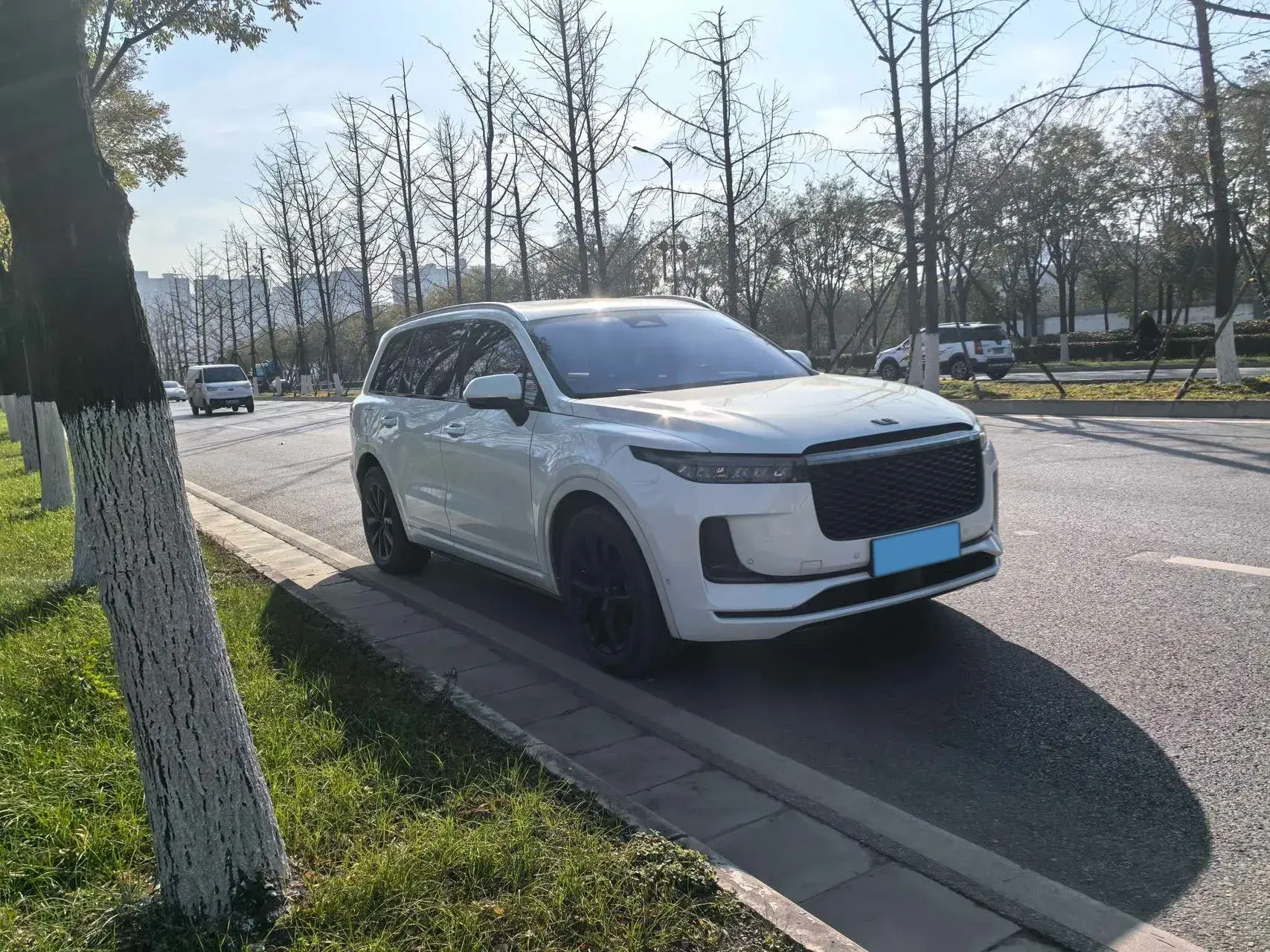 2021 LI ONE thumbnail 3