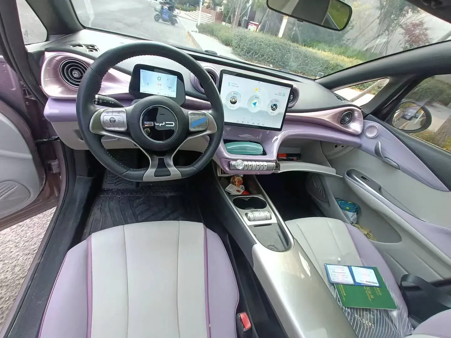 2021 BYD DOLPHIN thumbnail 4