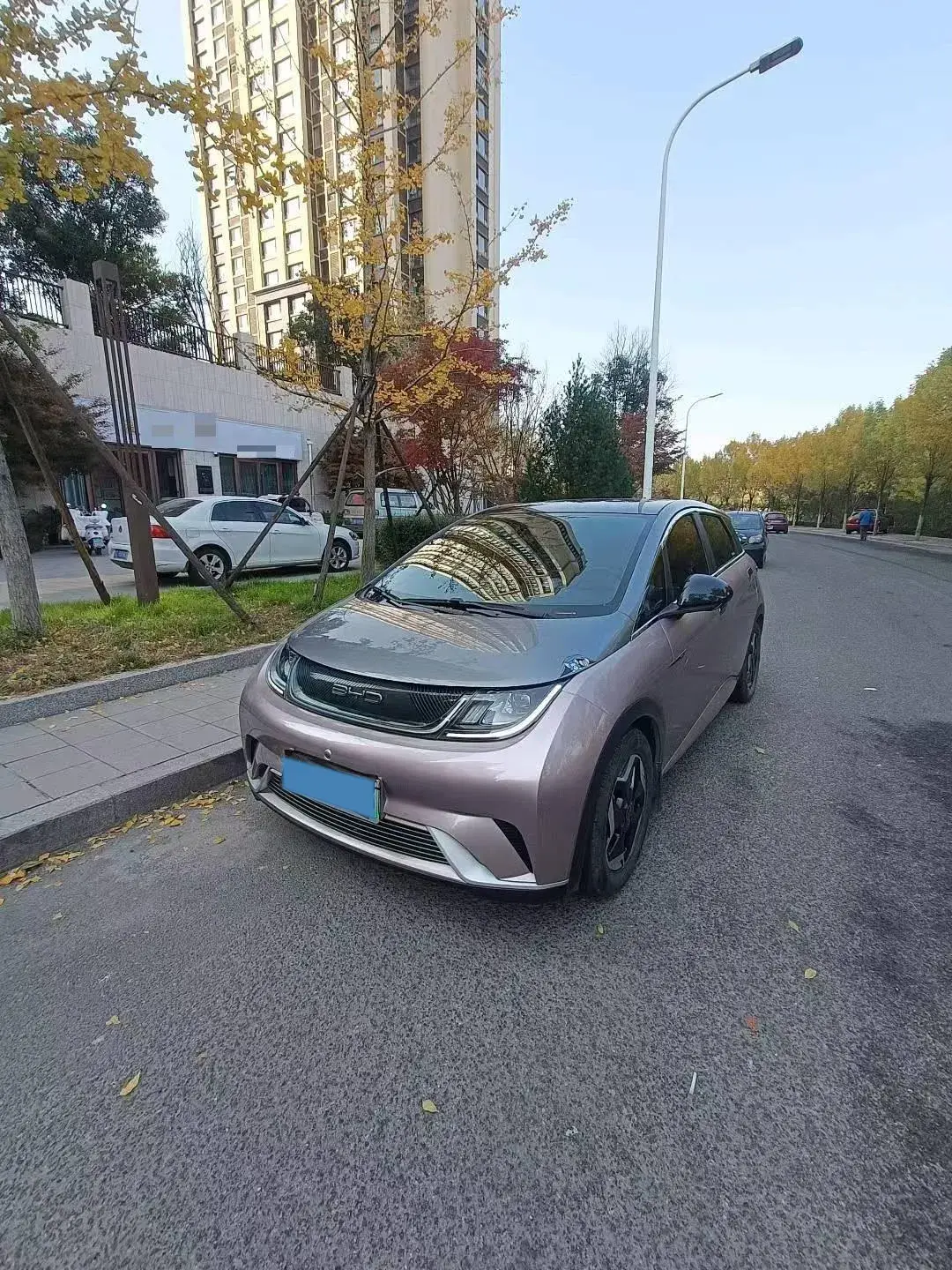 2021 BYD DOLPHIN view 1