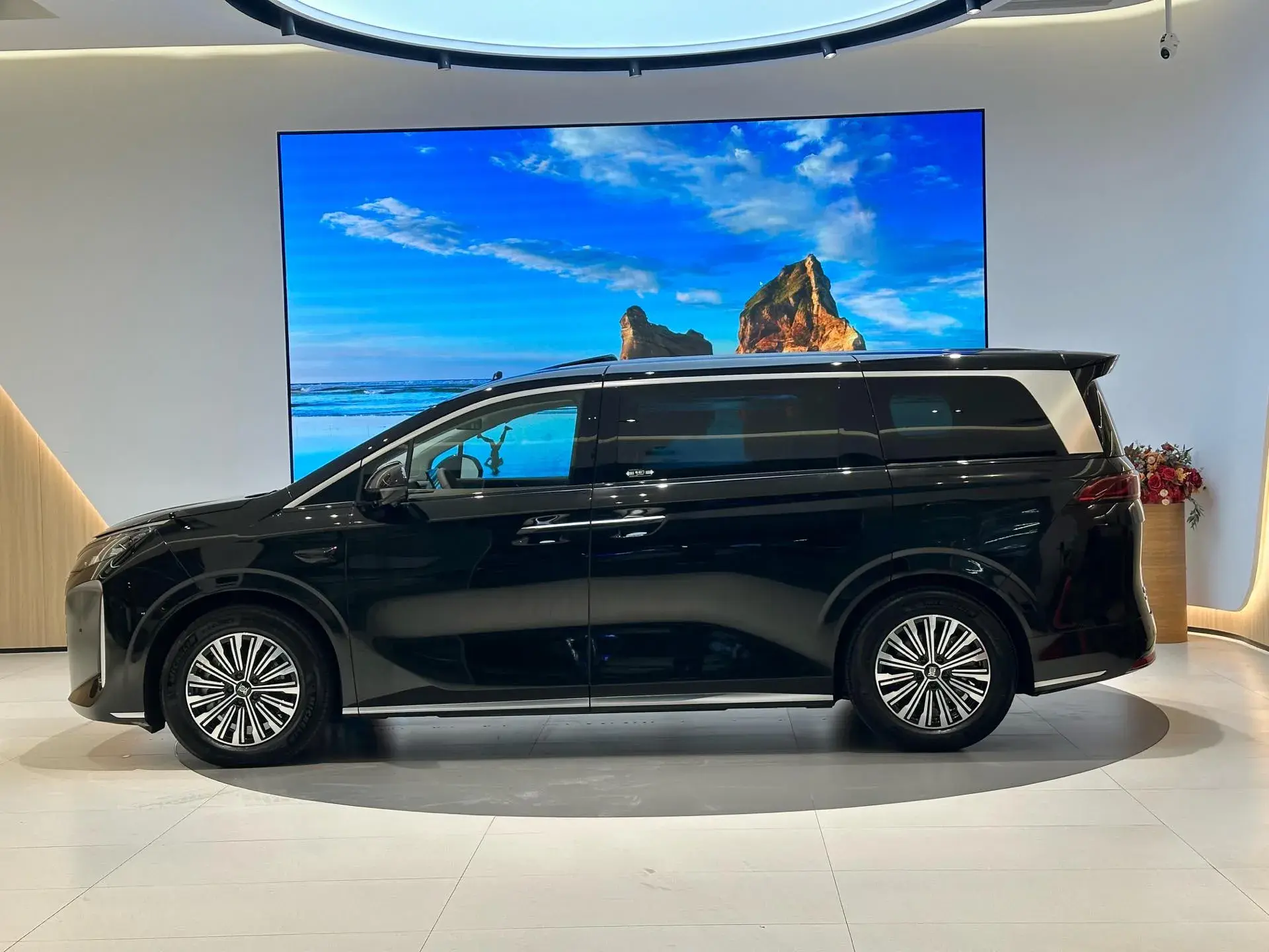 2025 BYD XIA thumbnail 3