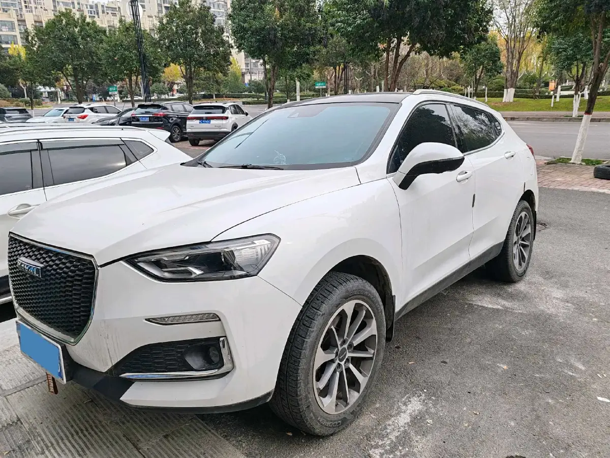 2020 Haval F5 1.5T 169HP L4 7DCT