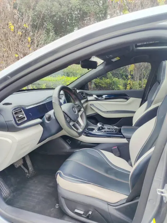 2021 BYD QIN thumbnail 4