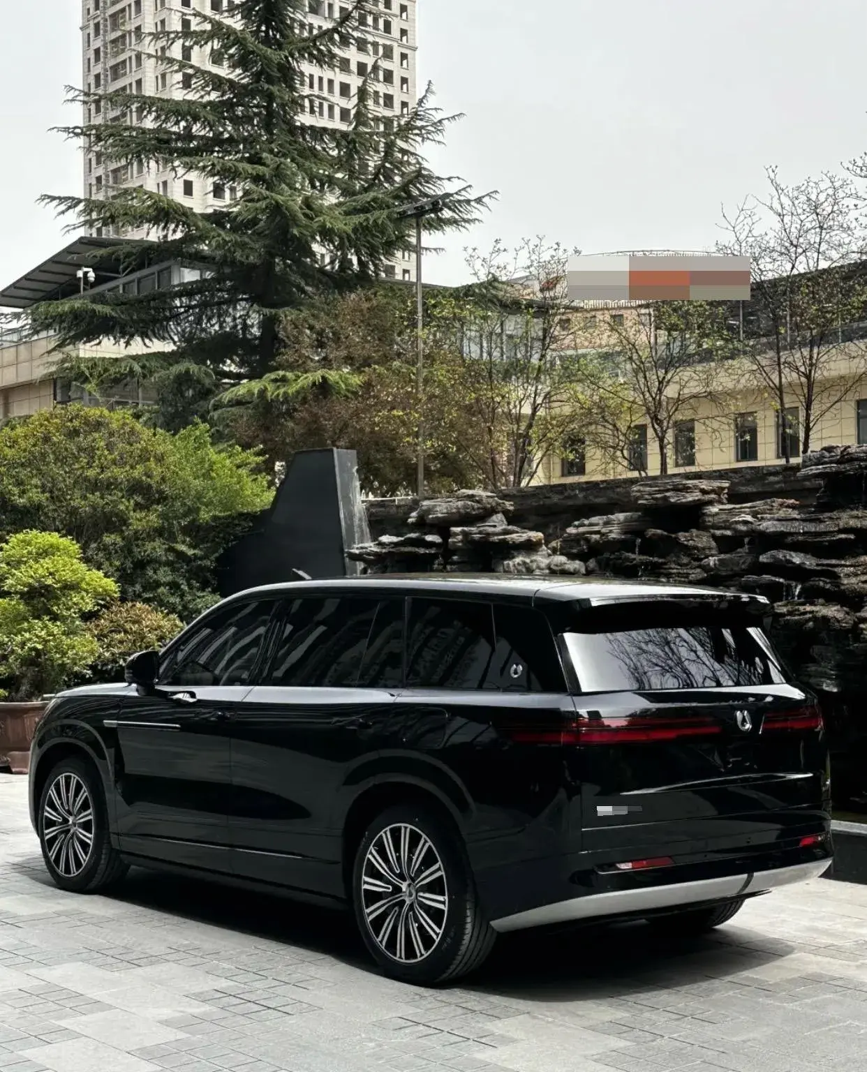 2023 DENZA DENZAN9 thumbnail 4