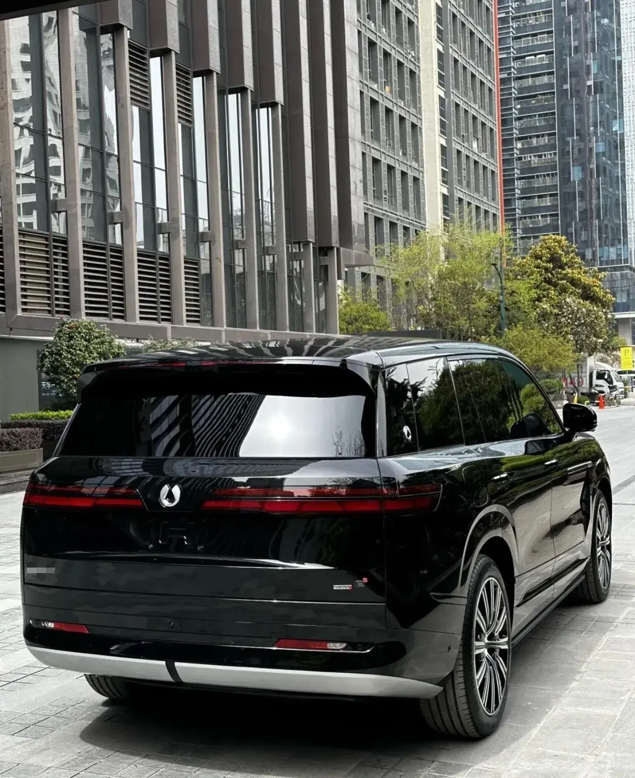 2023 DENZA DENZAN9 thumbnail 3