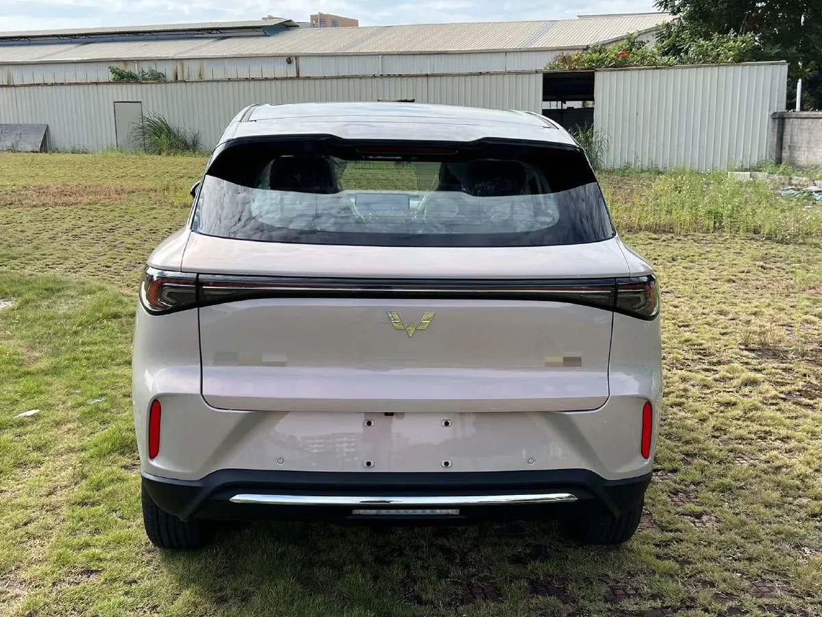 2025 WuLing BinGuo S BEV,autocango,china used car exporter,china ev exporter,chinese used car exporter,chinese used ev exporter