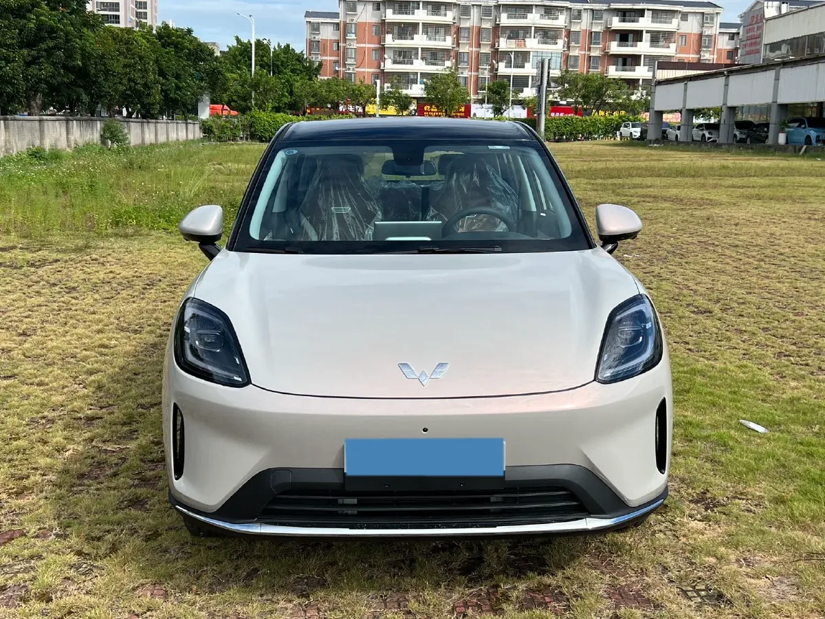 2025 WuLing BinGuo S BEV,autocango,china used car exporter,china ev exporter,chinese used car exporter,chinese used ev exporter