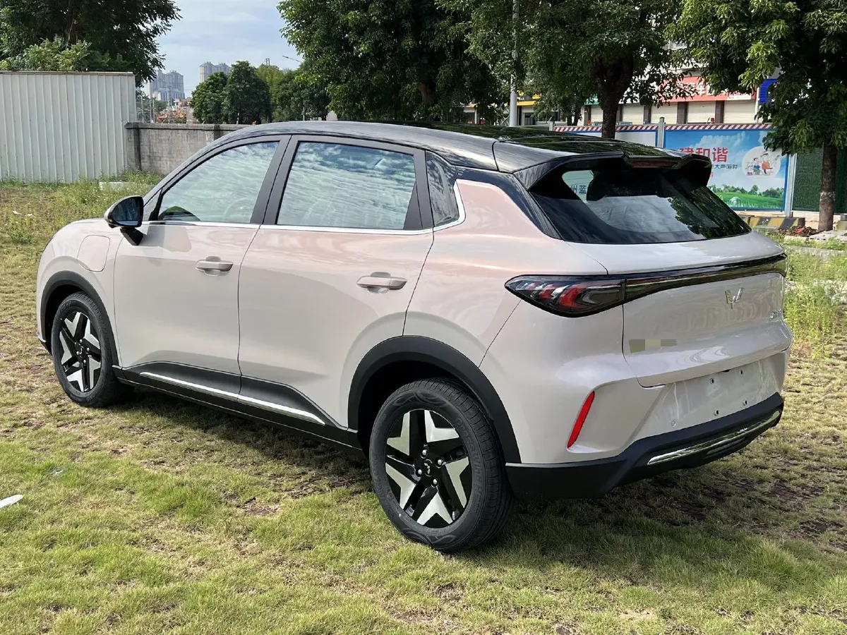 2025 WuLing BinGuo S BEV,autocango,china used car exporter,china ev exporter,chinese used car exporter,chinese used ev exporter