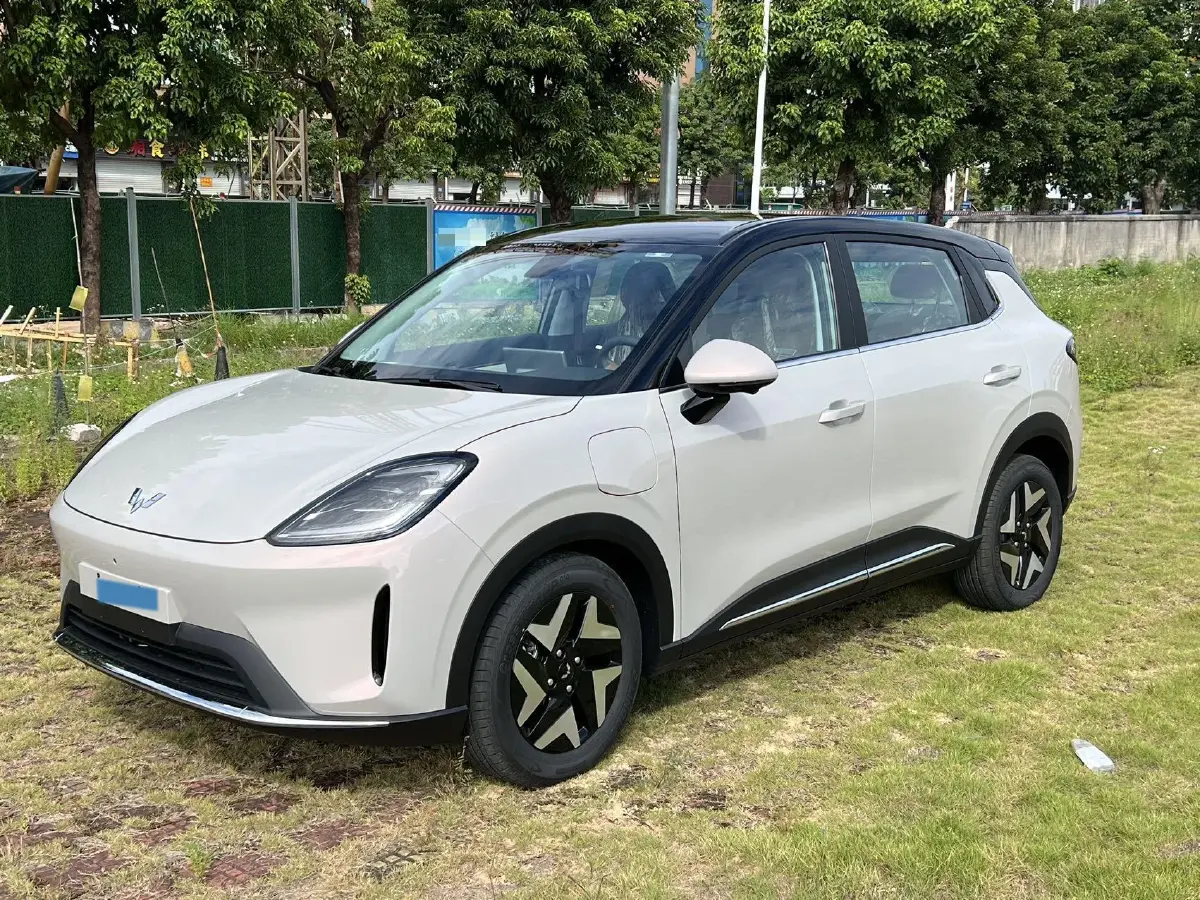 2025 WuLing BinGuo S BEV