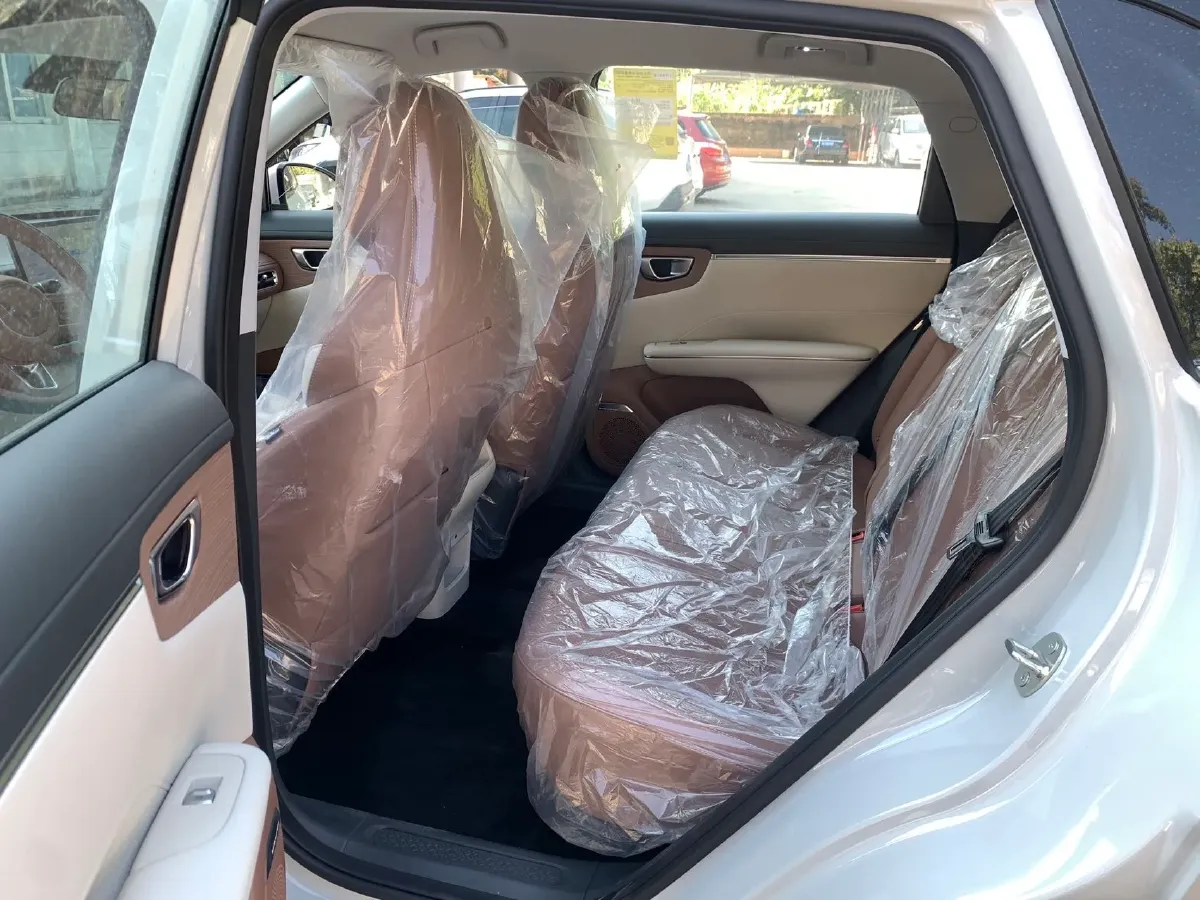 2025 WuLing BinGuo S BEV,autocango,china used car exporter,china ev exporter,chinese used car exporter,chinese used ev exporter