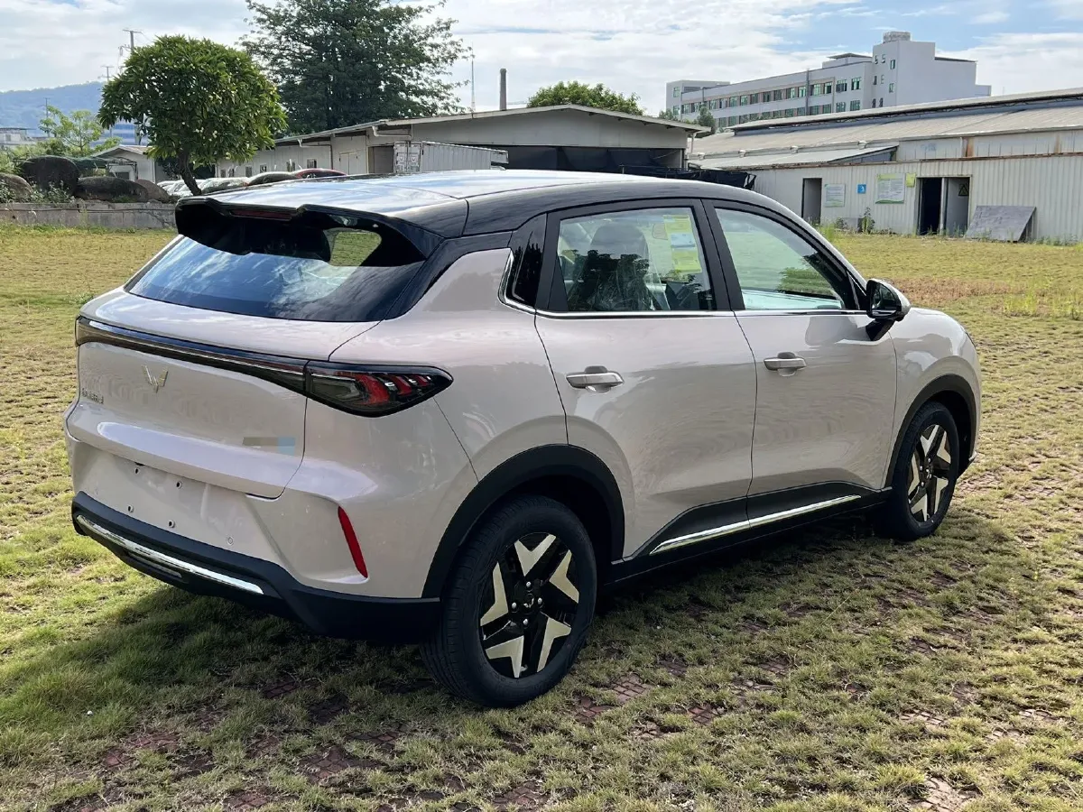 2025 WuLing BinGuo S BEV,autocango,china used car exporter,china ev exporter,chinese used car exporter,chinese used ev exporter