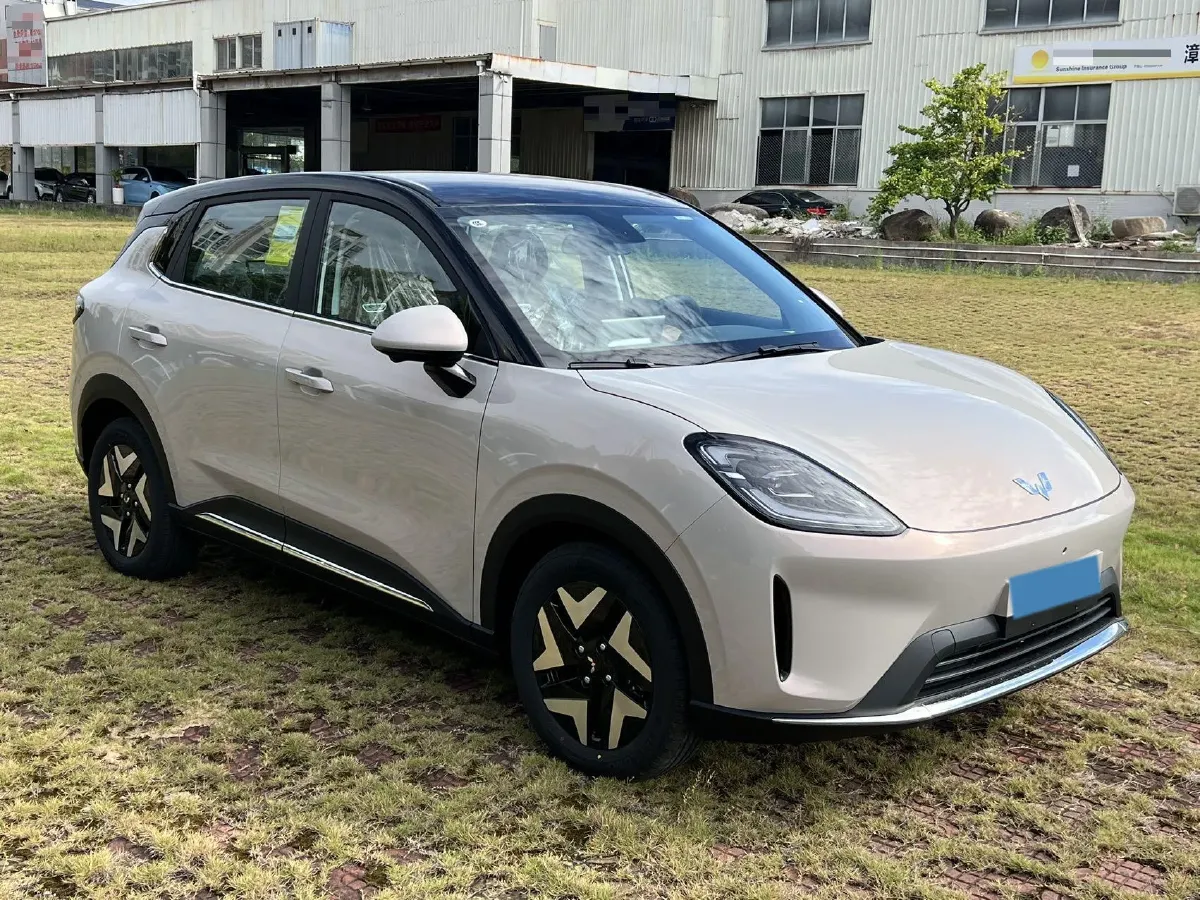 2025 WuLing BinGuo S BEV,autocango,china used car exporter,china ev exporter,chinese used car exporter,chinese used ev exporter