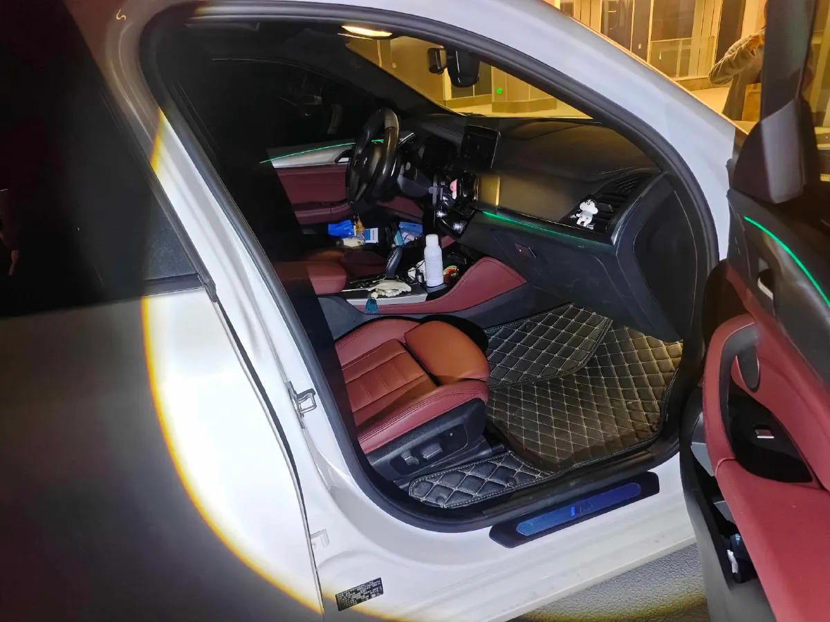 2020 BMW X4 2.0T 184HP L4 8AT,autocango,china used car exporter,china ev exporter,chinese used car exporter,chinese used ev exporter