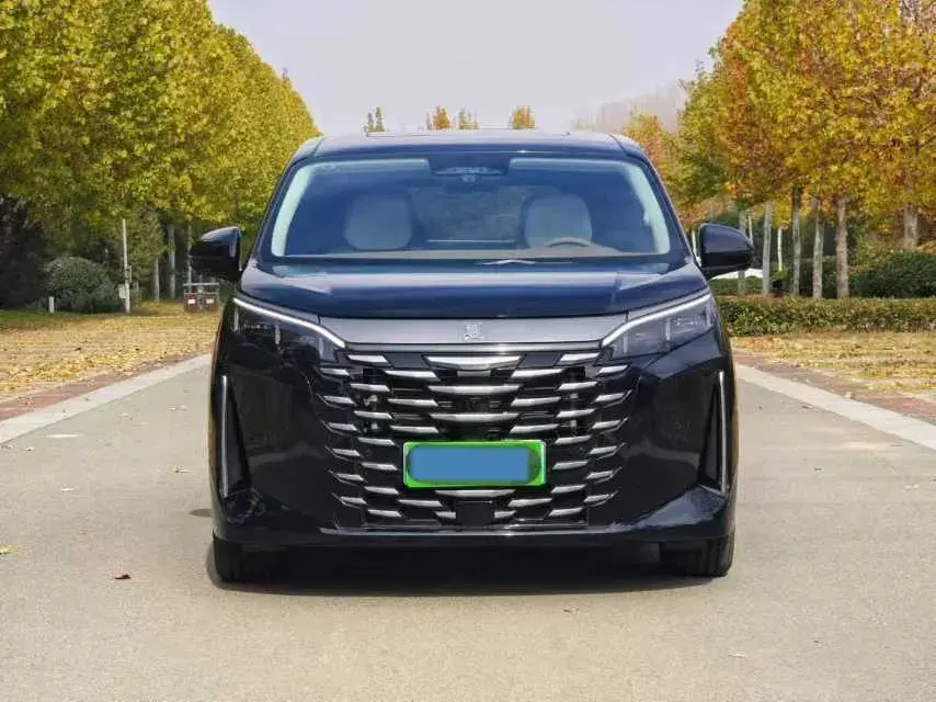 2025 BYD XIA thumbnail 2