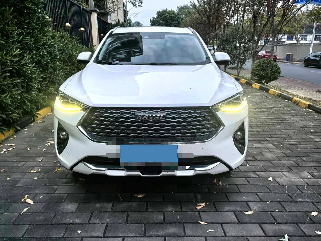 2019 HAVAL F7 thumbnail 2