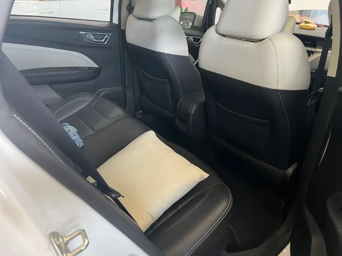 2020 Livan Maple 30X BEV 37KWH,autocango,china used car exporter,china ev exporter,chinese used car exporter,chinese used ev exporter