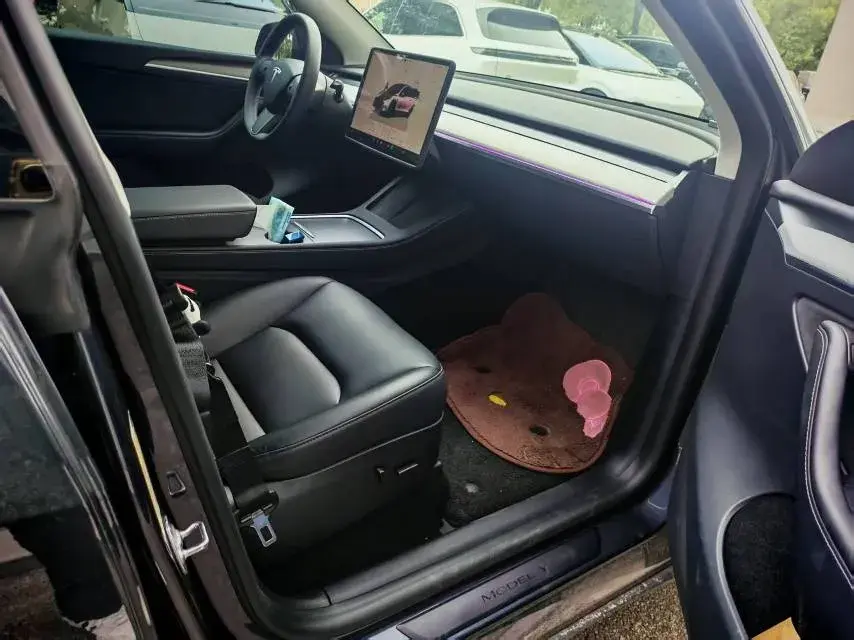 2024 TESLA MODEL thumbnail 2