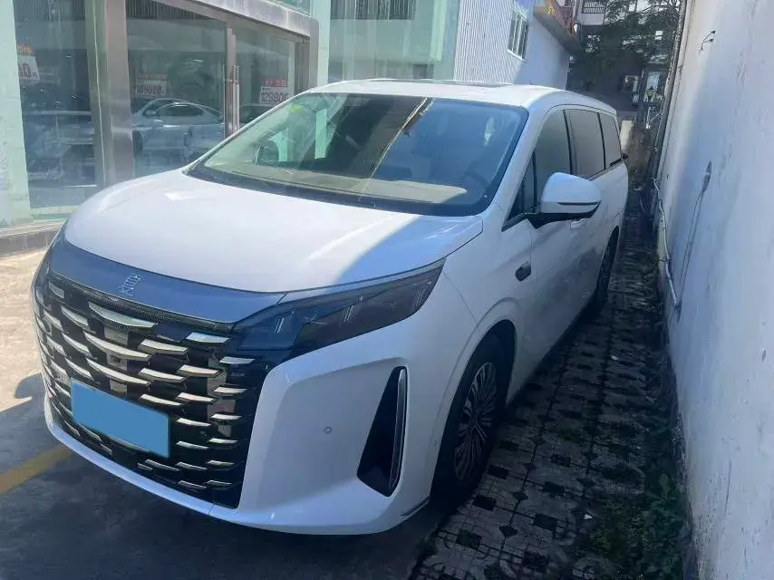 2025 BYD XIA view 1