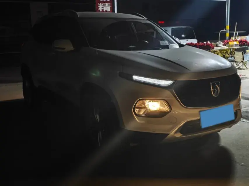 2019 BAOJUN 510 thumbnail 2