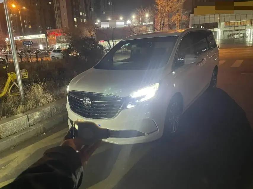 2020 BUICK GL8 view 1