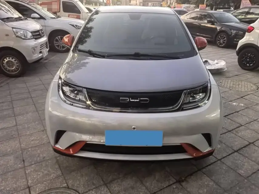 2021 BYD DOLPHIN thumbnail 2