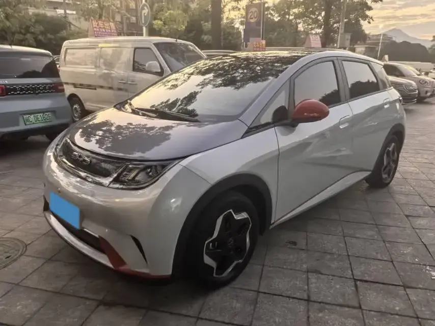 2021 BYD DOLPHIN view 1