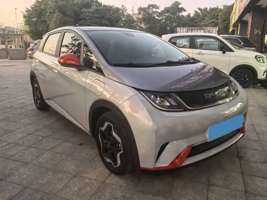 2021 BYD DOLPHIN thumbnail 3