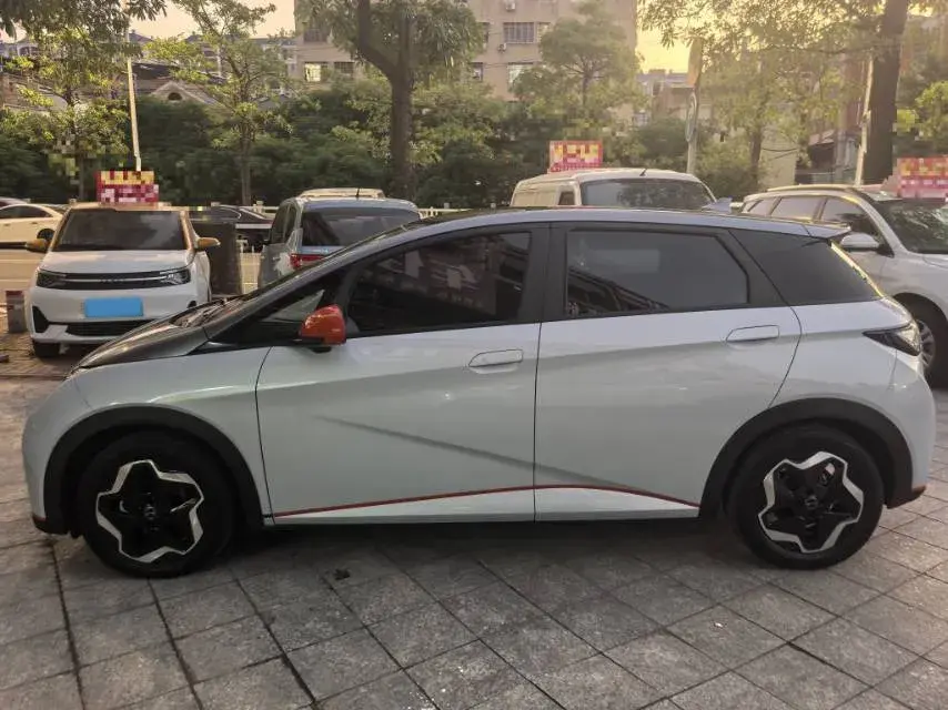 2021 BYD DOLPHIN thumbnail 4