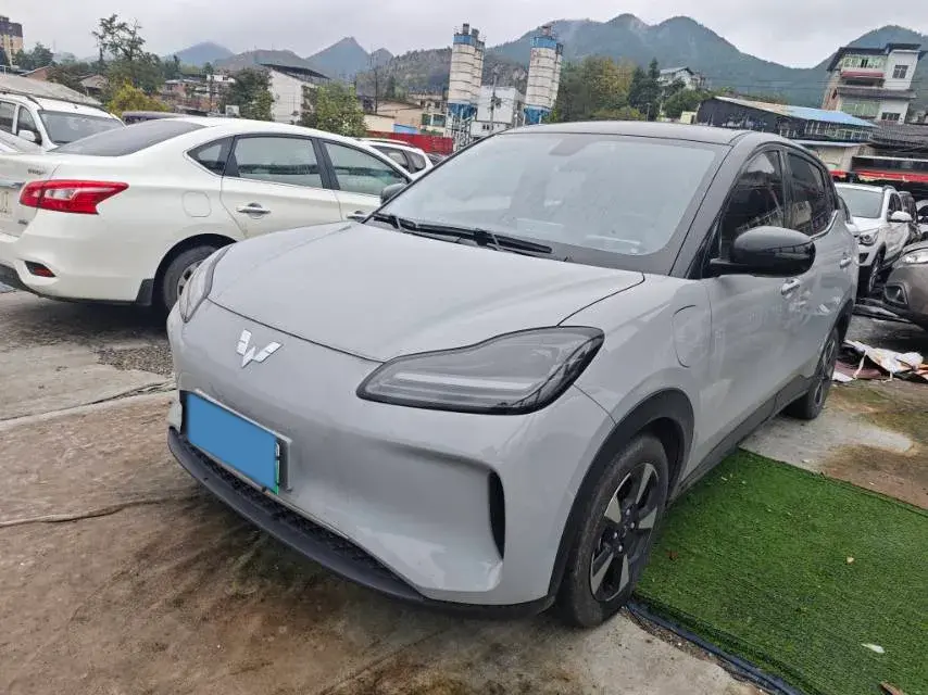 2024 WuLing BinGuoPLUS BEV 50.6KWH