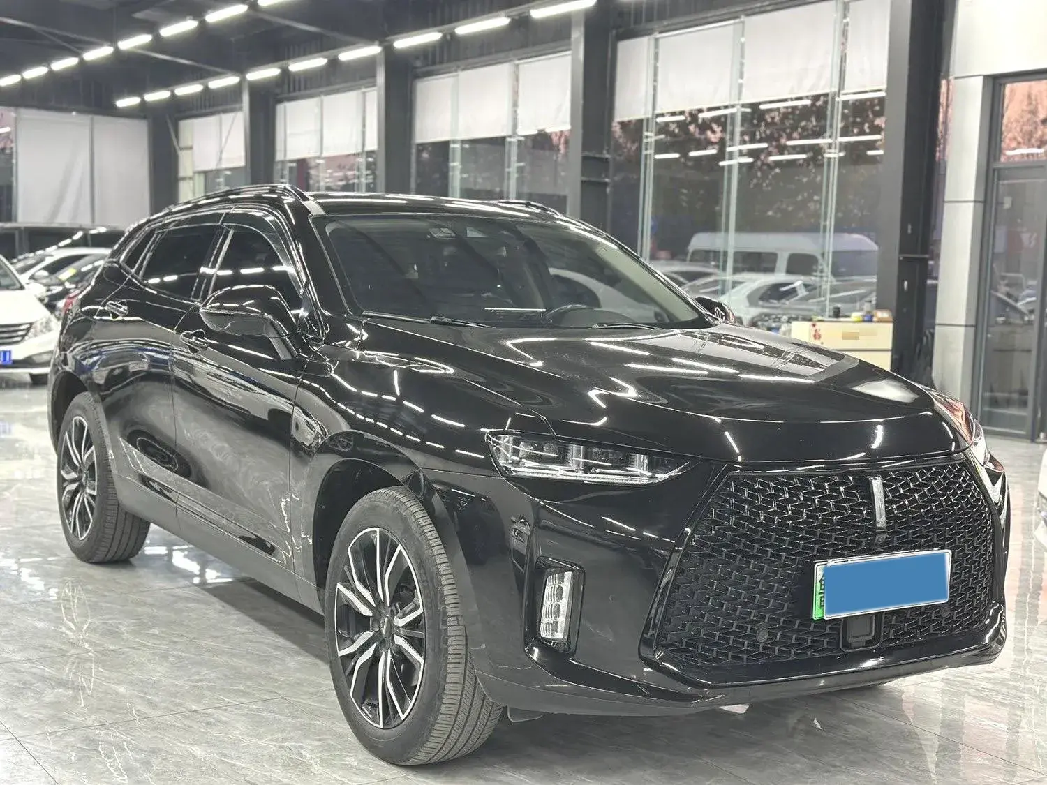 2018 WEY P8 thumbnail 2