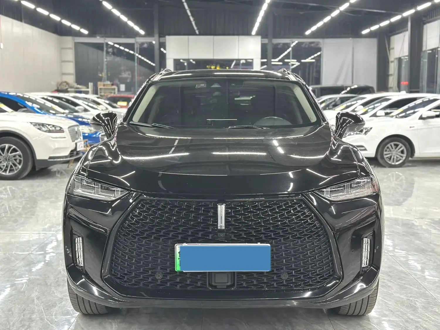 2018 WEY P8 thumbnail 3