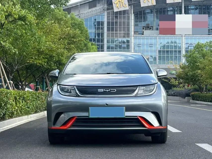 2021 BYD DOLPHIN thumbnail 2