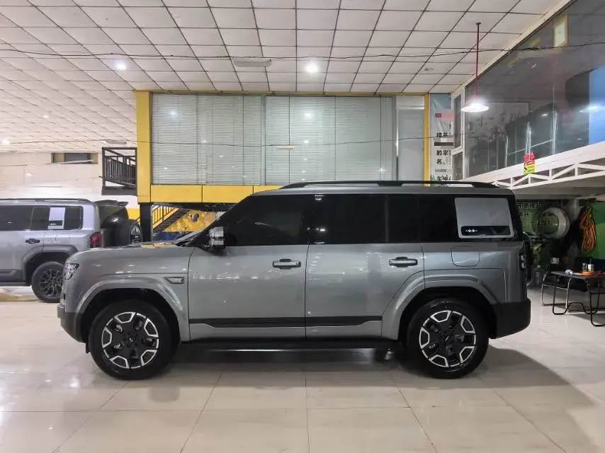 2025 FANGCHENGBAO TAI thumbnail 4