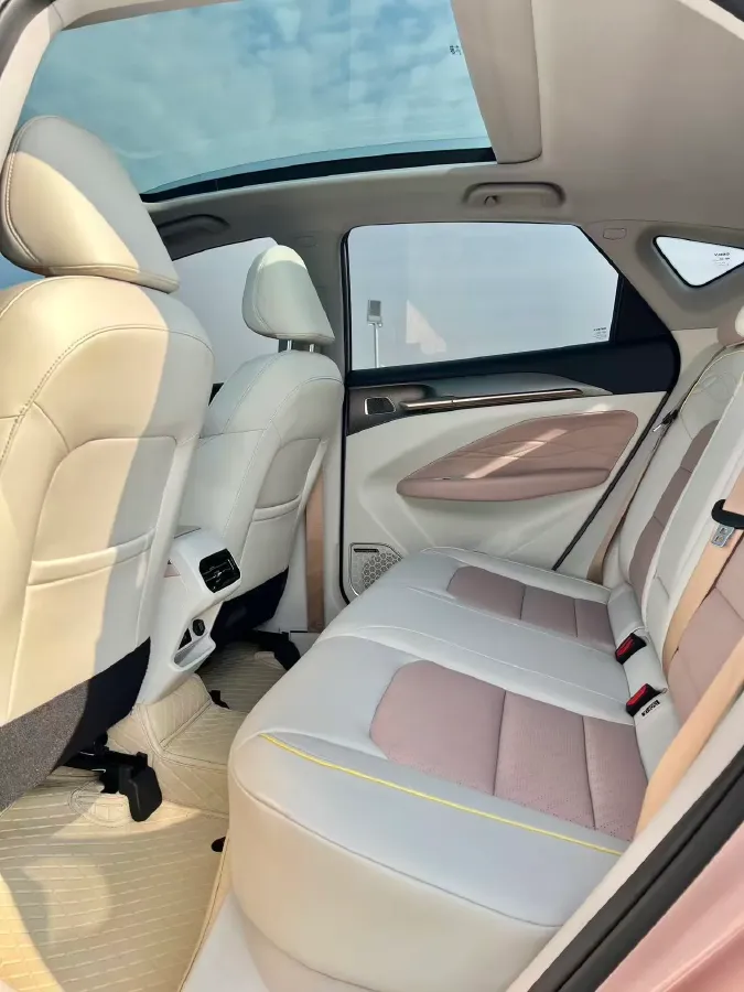 2022 Geometry M6 BEV 53KWH,autocango,china used car exporter,china ev exporter,chinese used car exporter,chinese used ev exporter