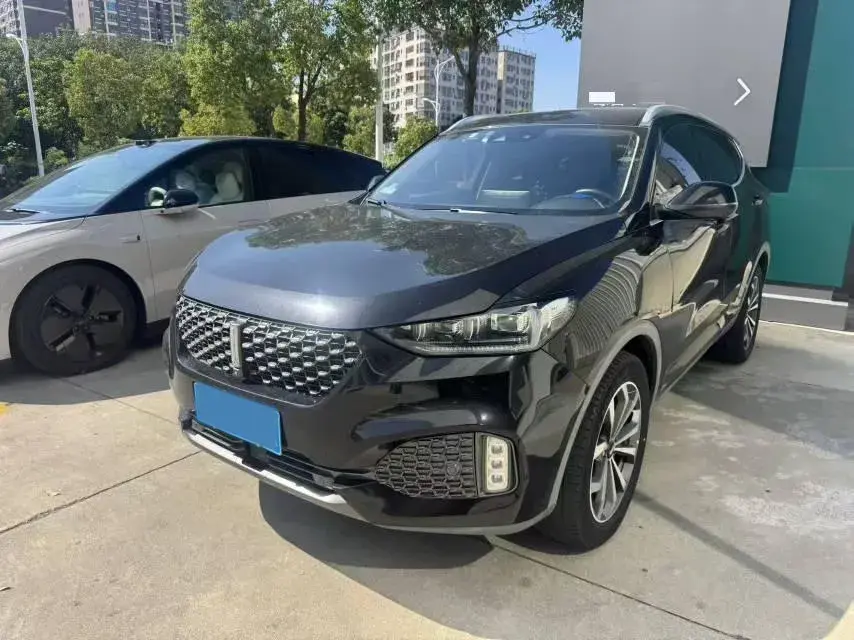 2020 WEY VV6 view 1