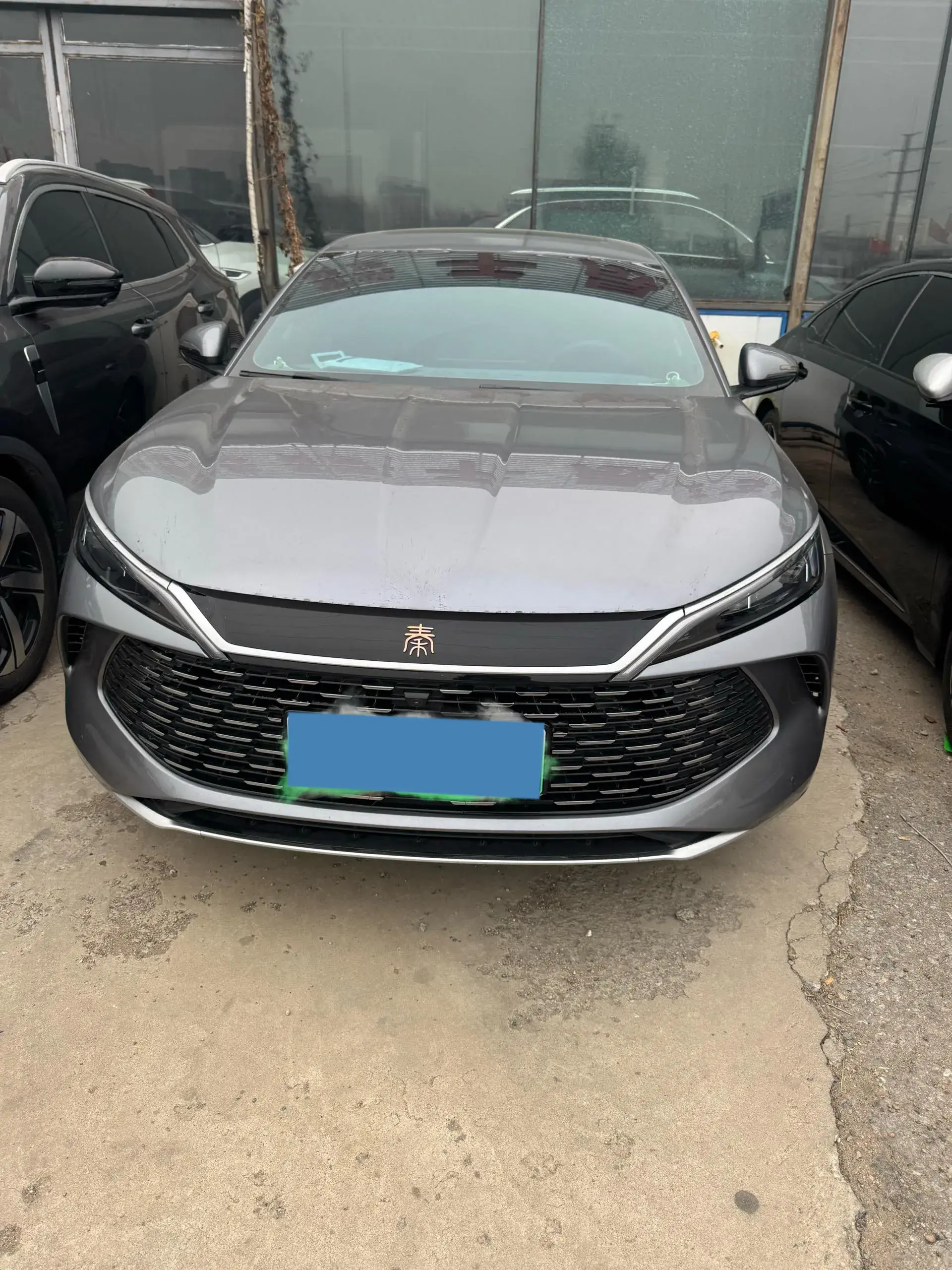 2024 BYD QINL thumbnail 4