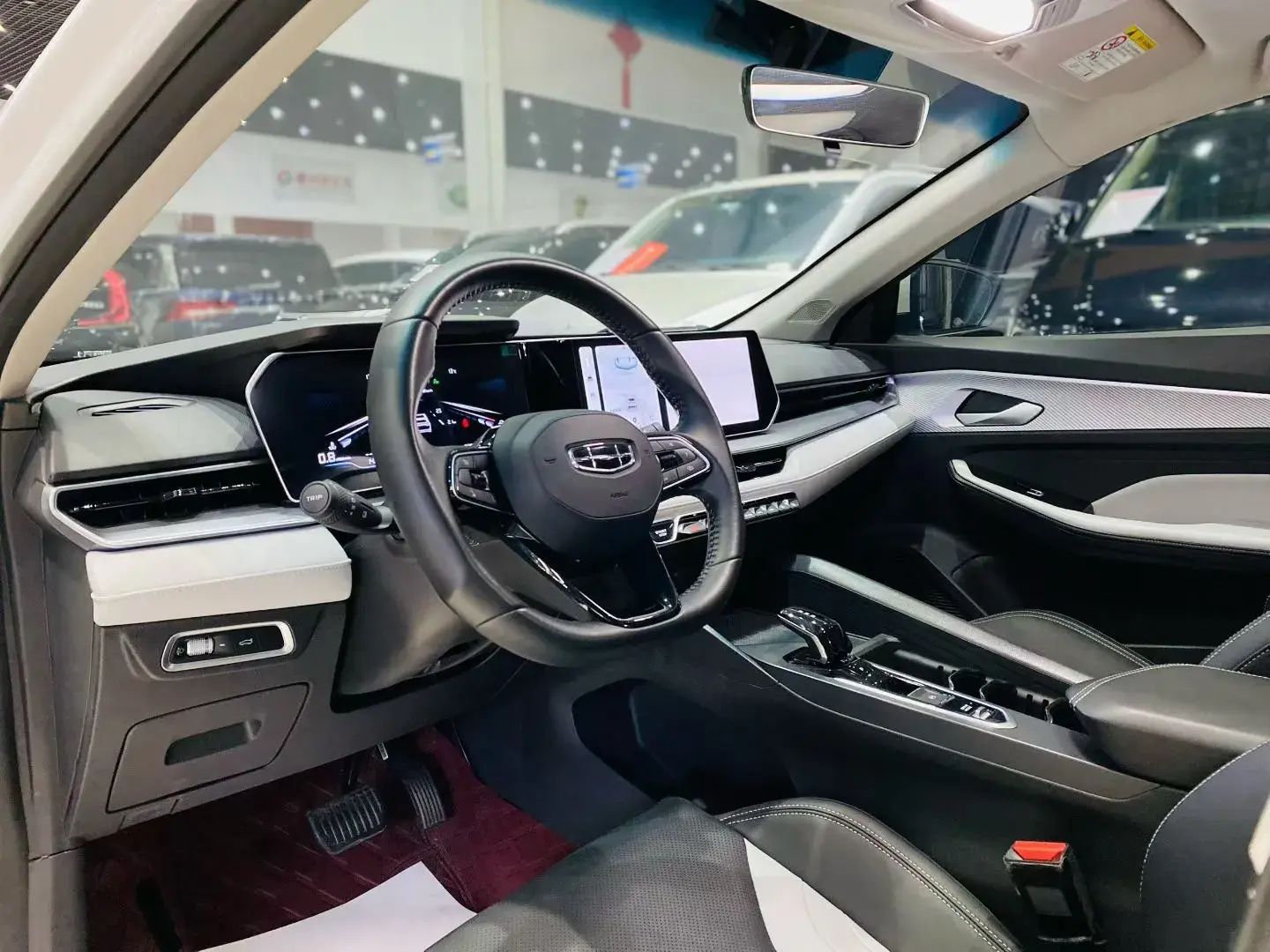 2024 GEELY BINRAY thumbnail 4