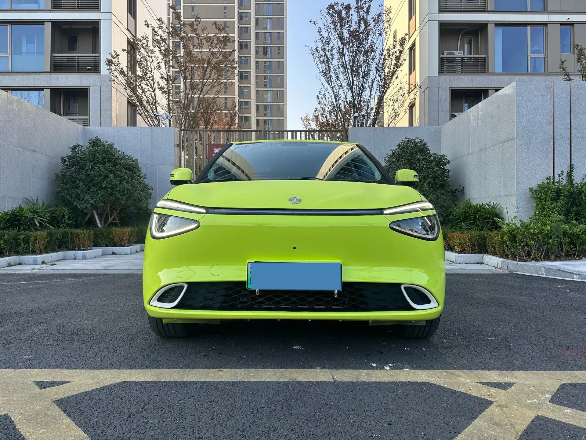 2024 DONGFENG NAMMI thumbnail 2