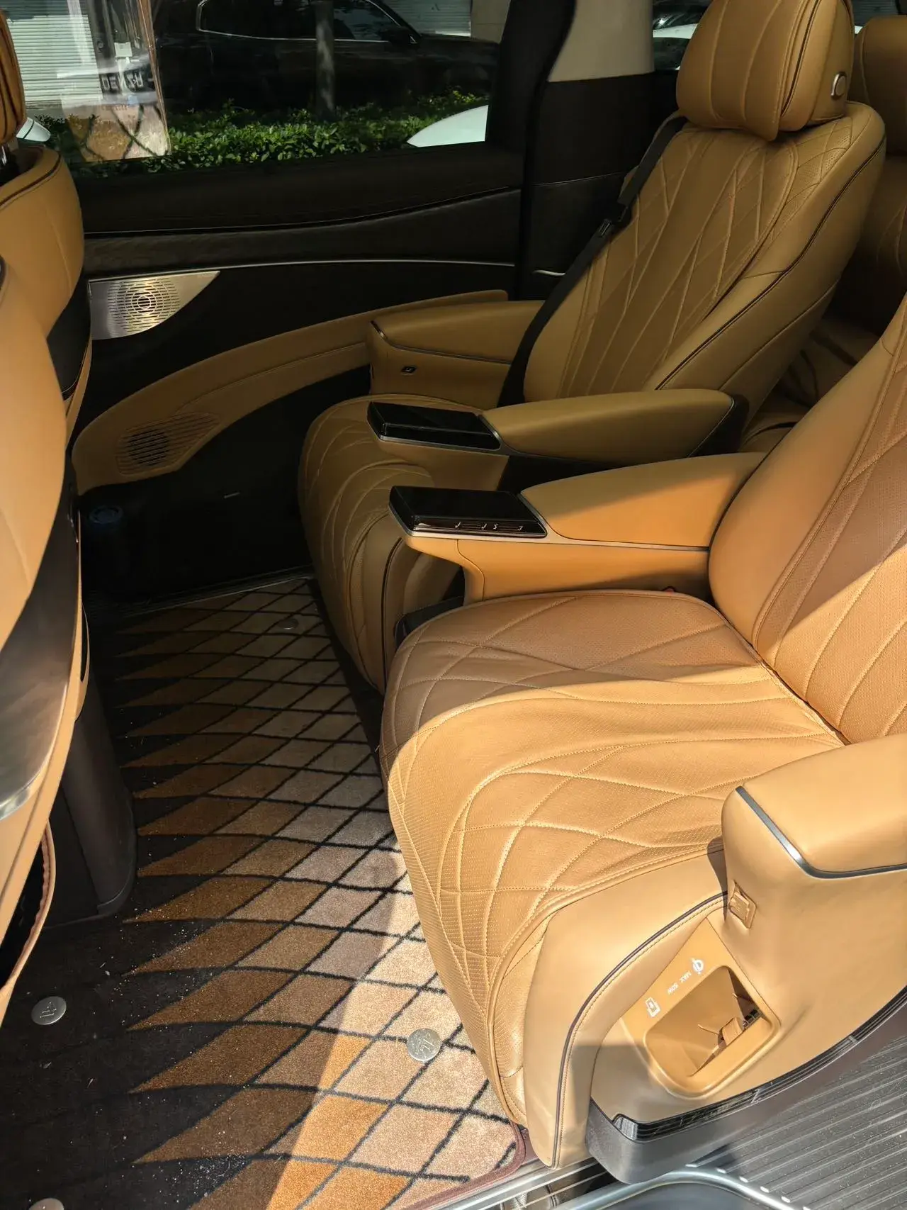 2024 DENZA D9 thumbnail 4