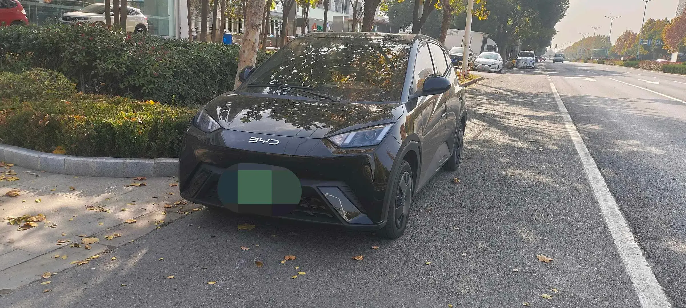 2024 BYD SEAGULL view 1