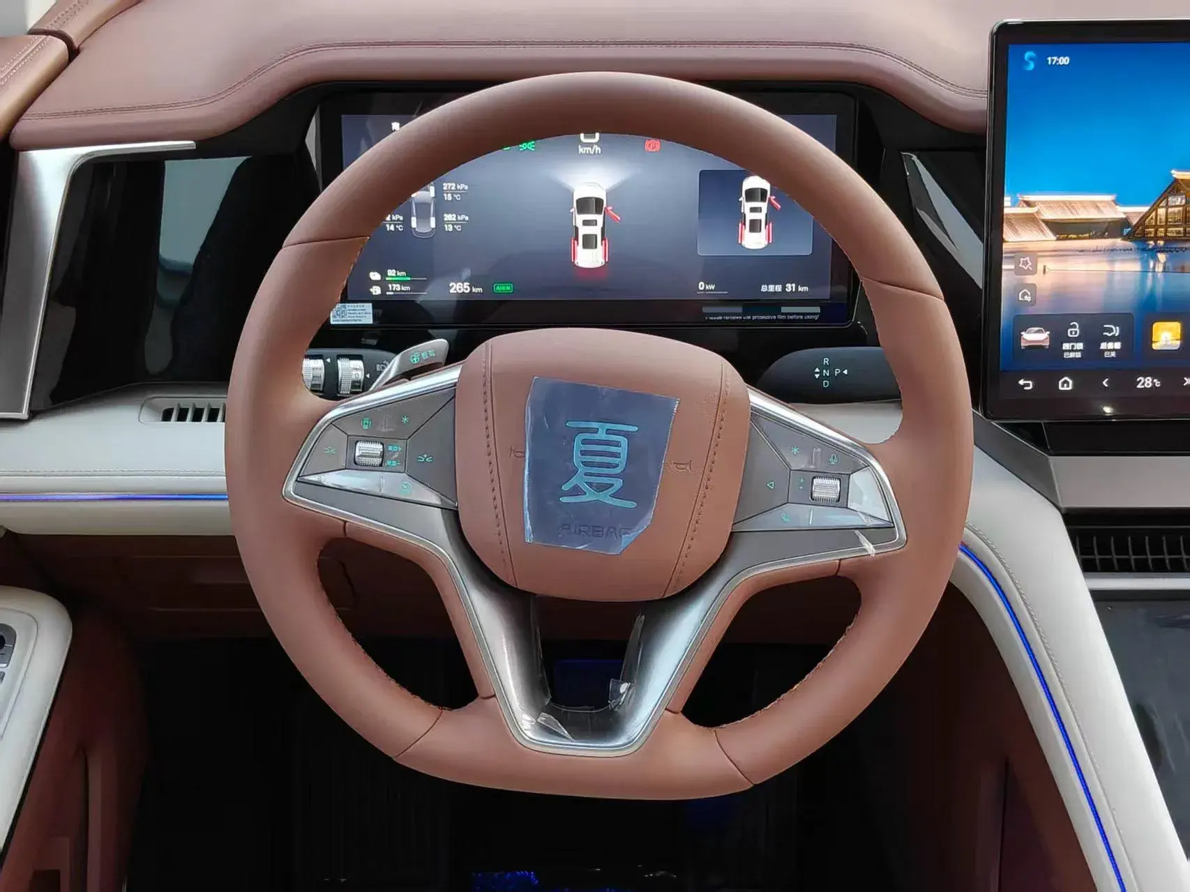 2025 BYD XIA thumbnail 4