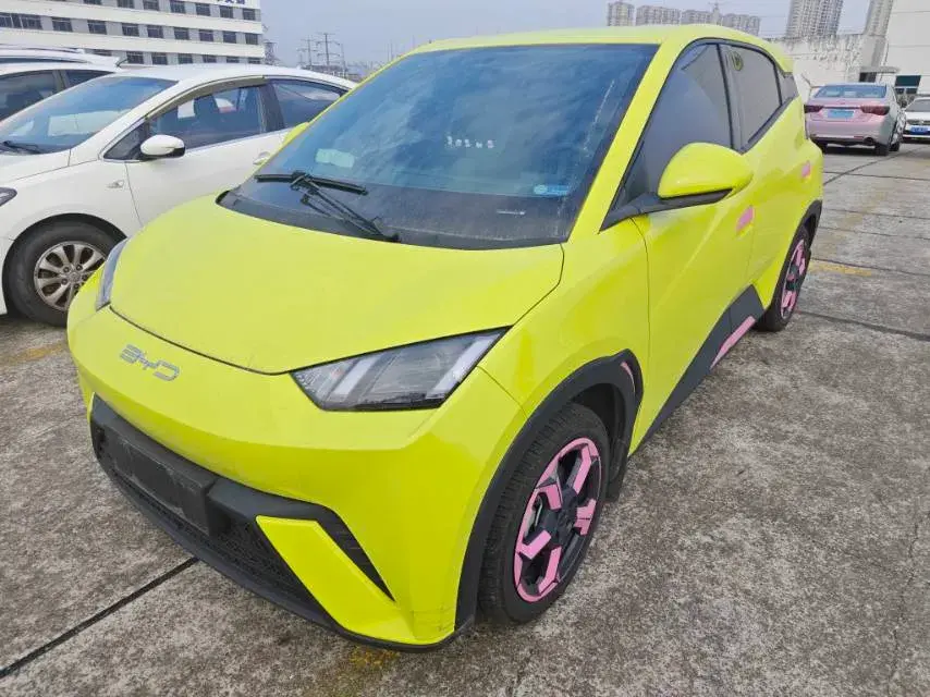 2023 BYD SEAGULL view 1